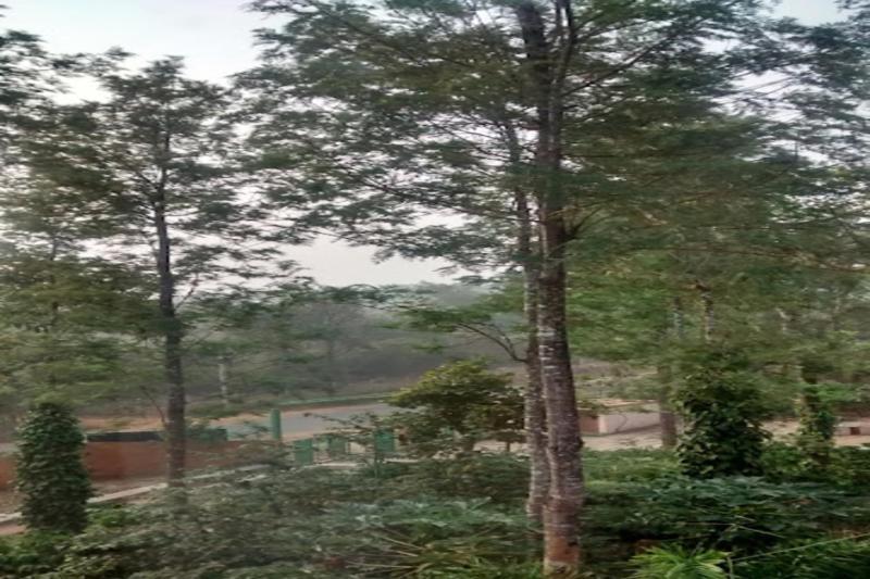 Nikhara Estate Resorts Kodlipet 외부 사진